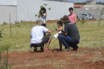 Foto - Plantio - Fruto Urbano