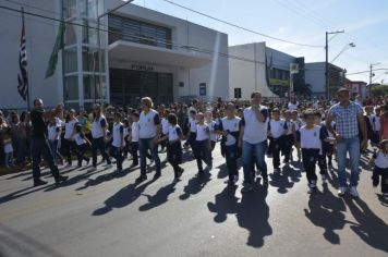 Foto - Desfile Cívico 2016