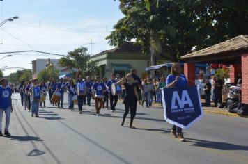 Foto - Desfile Cívico 2016