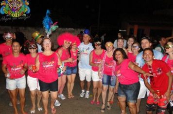 Foto - Carnaval 2013 - Pira Folia - Segunda