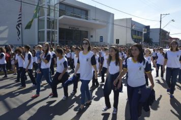 Foto - Desfile Cívico 2016