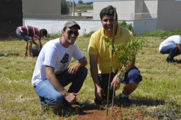 Foto - Plantio - Fruto Urbano