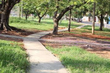 REVITALIZAÇÃO DA PRAÇA DOS PIONEIROS.