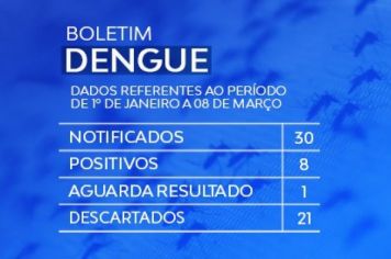 BOLETIM INFORMATIVO DE DENGUE. 