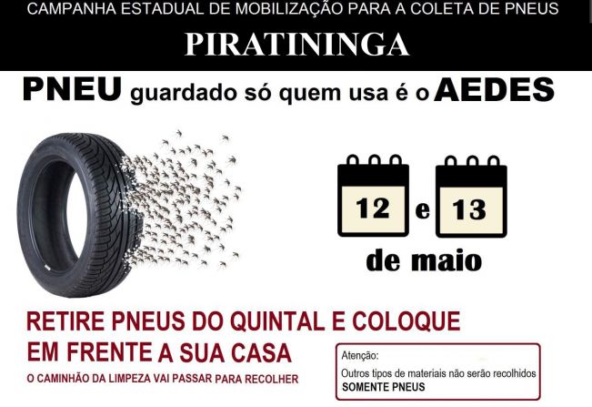 CAMPANHA ESTADUAL DE MOBILIZAÇÃO PARA A COLETA DE PNEUS