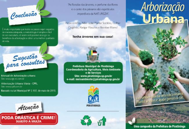 Arborização Urbana