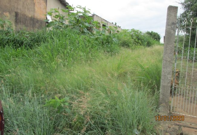 LIMPEZA DE TERRENOS COM MATO