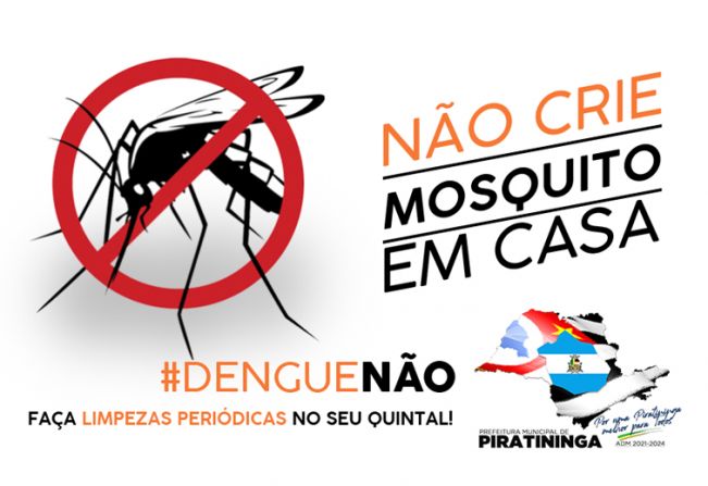 PEQUENA SÉRIE DE CURIOSIDADES SOBRE A DENGUE